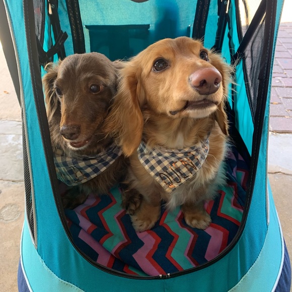 Hi! I’m Hilary!! - Picture 5 of 7